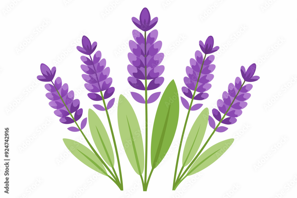 Fototapeta premium A Bouquet of Lavender Flowers with Green Leaves