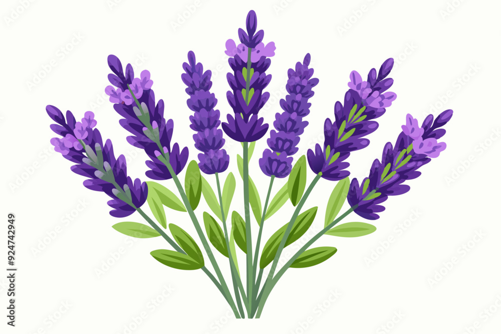 Fototapeta premium A Bouquet of Purple Lavender Flowers with Green Leaves