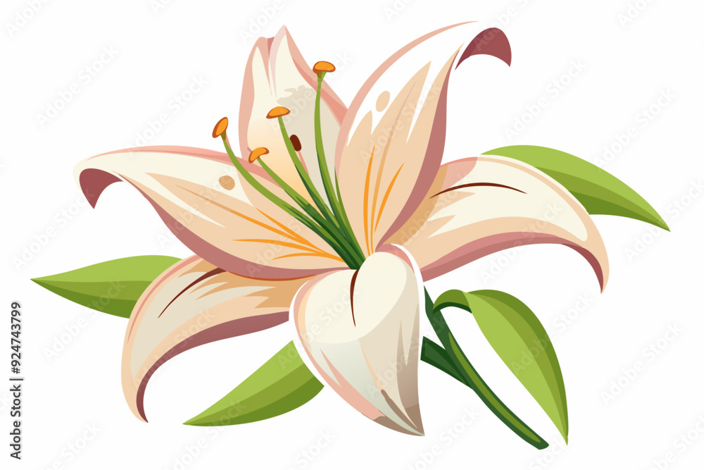 Naklejka premium Single White Lily with Green Leaves