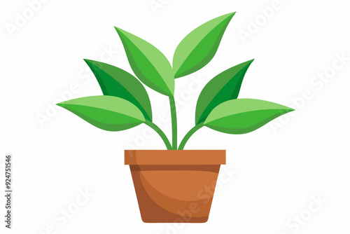 Green plant with five leaves in a brown pot