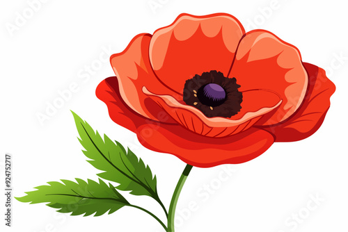 Single Red Poppy Flower with Green Leaves