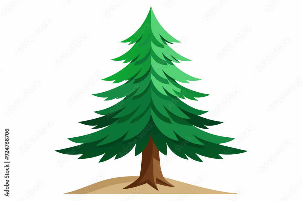A Tall Green Pine Tree with a Brown Trunk and Ground A Tall Green Pine Tree with a Brown Trunk and Ground