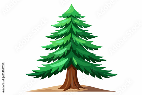 Tall Evergreen Tree with Brown Trunk on White Background