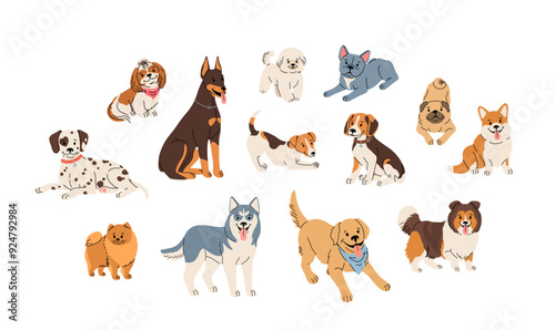 Dog breeds set. Cute flat illustration in cartoon style on white background. Dalmatian, shih tzu, beagle, sheltie, husky, labrador, retriever, pomeranian and other pets in vector