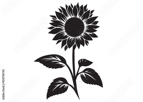 Vector silhouette of a sunflower, hand drawn sunflower vector collection, black and white sunflower beautiful sunflower flowers. Vector illustration