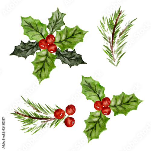 Set of Watercolor Christmas decorations with fir tree, branches and holly berries. Design elements