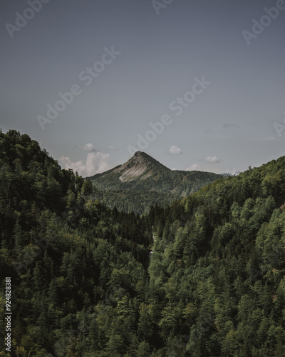 Fuschlsee photo