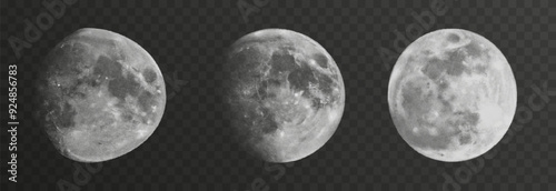 Set of realistic vector moon on an isolated transparent background. Moon vector png.