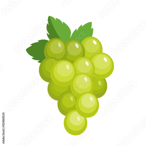 Vector white grape icon, illustration of green fruit with leaf isolated of white background, wine grape bunch logo symbol in flat cartoon style