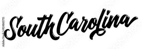 South Carolina state name written in street art-style liquid brush script lettering
