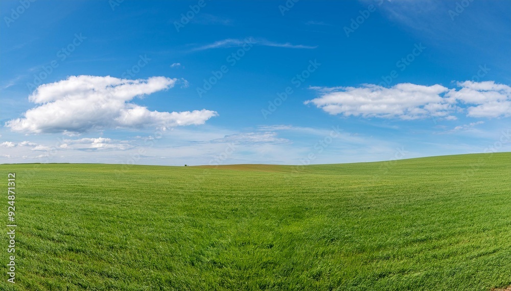 vast, empty green grass field stretches out under a clear blue sky dotted with fluffy white clouds, creating a serene and open landscape that evokes a sense of peaceful tranquility. vast, empty green grass field stretches out under a clear blue sky dotted with fluffy white clouds, creating a serene and open landscape that evokes a sense of peaceful tranquility.