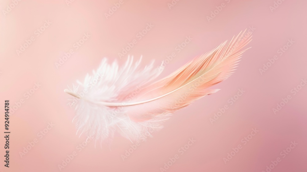 A simplicity-themed background with a single, delicate feather floating in mid-air against a soft, pastel-colored background, capturing the essence of lightness and minimalism A simplicity-themed background with a single, delicate feather floating in mid-air against a soft, pastel-colored background, capturing the essence of lightness and minimalism