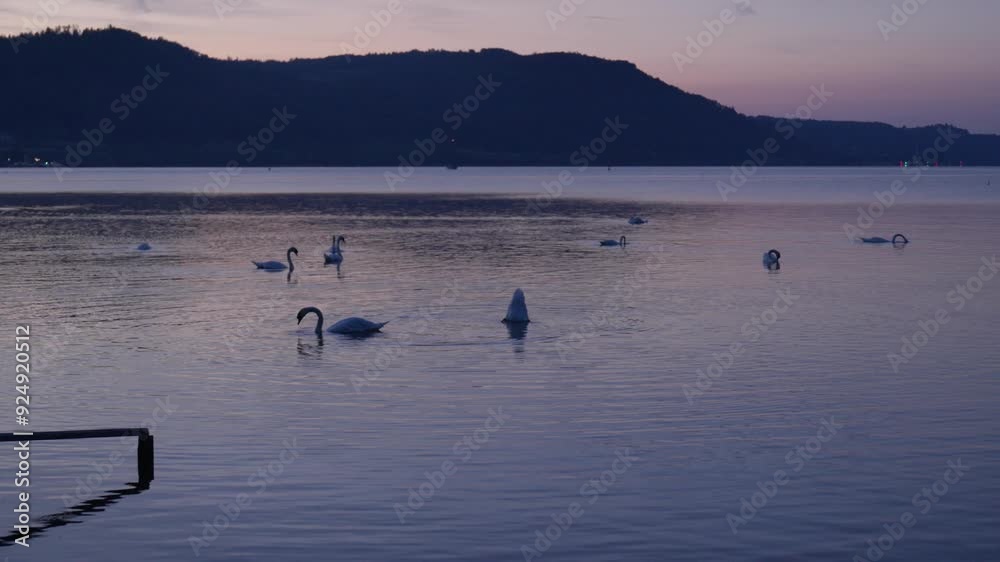 Bodensee