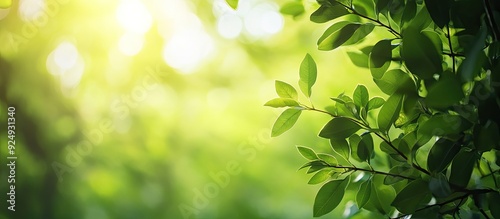 Beautiful natural scenery f...