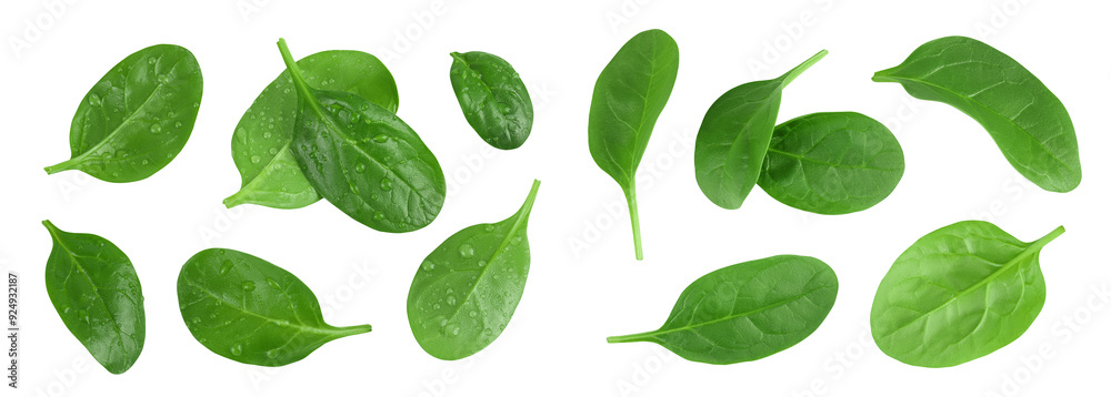 Baby spinach leaves isolated on white background. Top view. Flat lay Baby spinach leaves isolated on white background. Top view. Flat lay