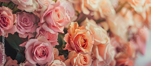 Fototapeta Naklejka Na Ścianę i Meble -  Delicate roses create a frame with blooming flowers providing a festive backdrop soft pastel card selective focus and toned. with copy space image. Place for adding text or design