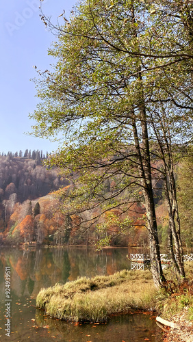 Karagöl, Borçka, Artvin, Turkey - 14 October 2021. Autumn view from Karagöl in Borçka district of Artvin province. Borcka Karagol Nature Park. The forest scene reflected in the still lake.