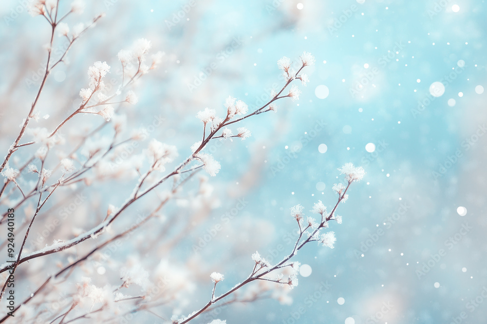 Frosted branches with delicate snowflakes in a soft blue background, capturing the elegance and tranquility of winter with a focus on natural beauty and subtle light. Frosted branches with delicate snowflakes in a soft blue background, capturing the elegance and tranquility of winter with a focus on natural beauty and subtle light.