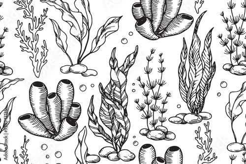 seaweed seamless pattern, illustration in sketch style. vintage