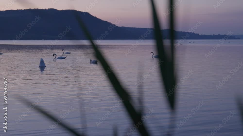 Bodensee