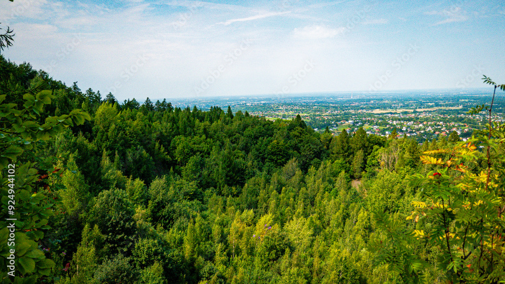 Fototapeta premium A forest in quarry