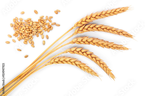 ears of wheat isolated on white background. Top view