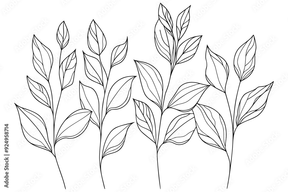 Black and white line drawing of several stems of plants with leaves. Abstract floral set of hand drawn botanic elements Black and white line drawing of several stems of plants with leaves. Abstract floral set of hand drawn botanic elements