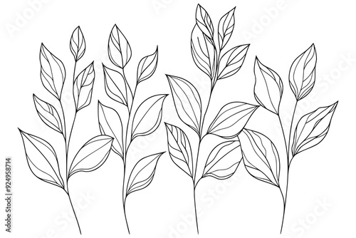 Black and white line drawing of several stems of plants with leaves. Abstract floral set of hand drawn botanic elements