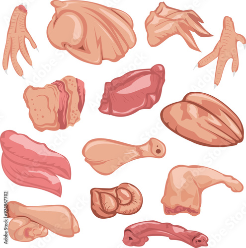 Assorted Chicken Raw Meat Cuts Illustration