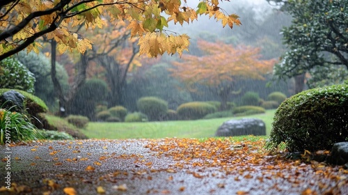 Dewy Leaves: Early morning in Atami Plum Garden, Shizuoka Prefecture. Autumn leaves glisten with morning dew, creating a serene scene in Atami City.