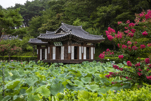 Gangneung-si, Gangwon-do, South Korea - July 26, 2022: Summer view of red flowers of crape myrtle and lotus leaves on the pond against Hwalraejeong Pavilion at Sungyojang Folk Museum