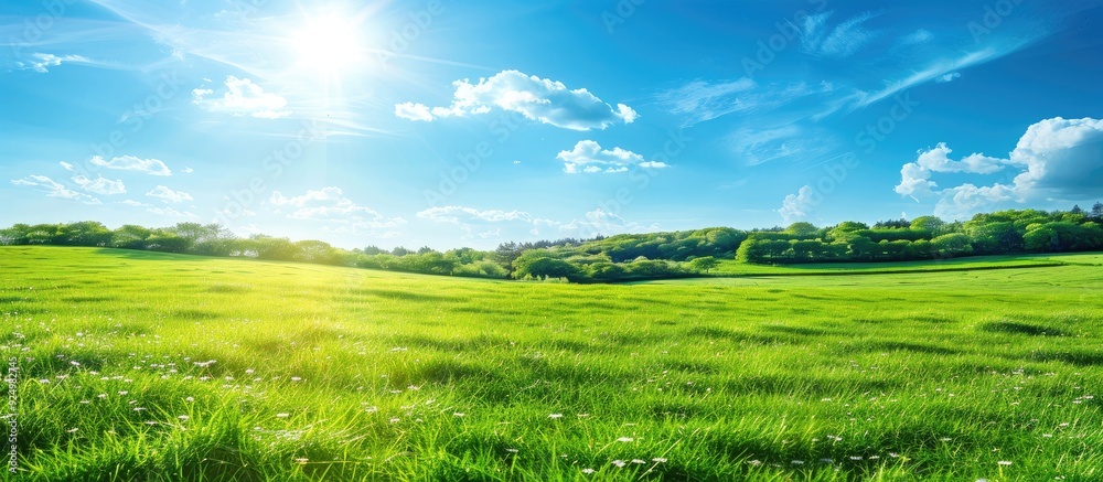 Sunny blue sky over fields with lush green grass creates a serene spring nature scene in the beautiful landscape ideal for a copy space image Sunny blue sky over fields with lush green grass creates a serene spring nature scene in the beautiful landscape ideal for a copy space image