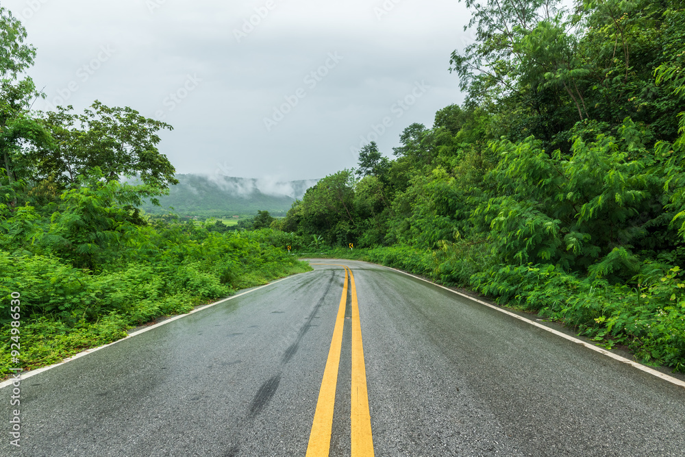 Fototapeta premium Wet asphalt road with beautiful view of misty landscape