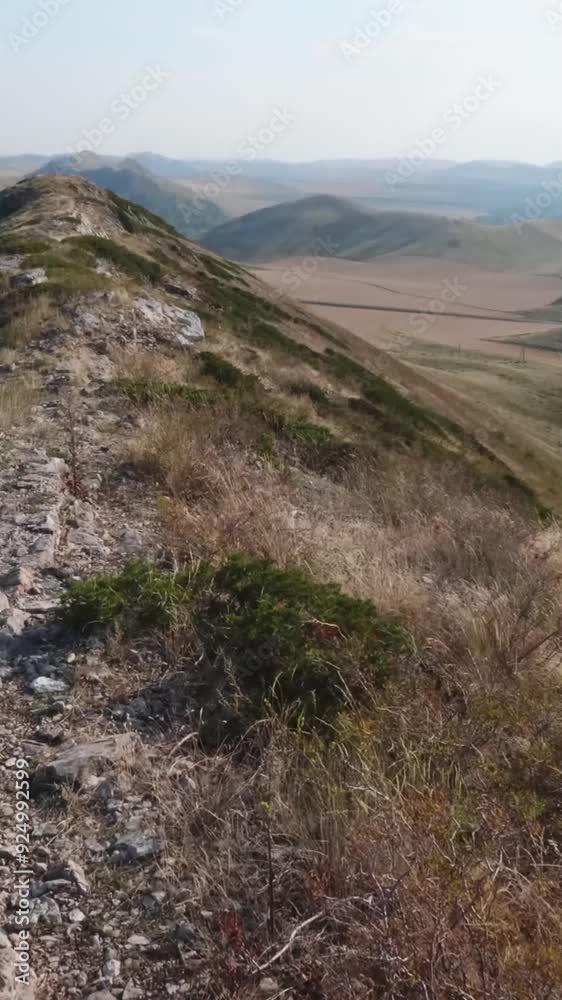 Fantastic view of rural area during summer