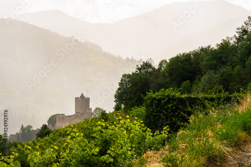 Une éclaircie après le passage de la pluie devant le château du Schlossberg dans la vallée de la Weiss, Kaysersberg vignoble, Alsace, CeA, Grand Est, France