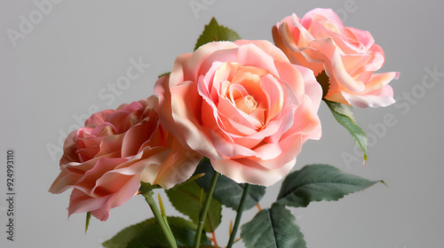 bouquet of red roses, beautifull pink roses.