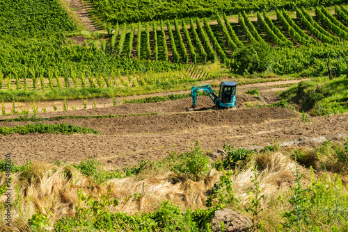 Un chantier viticole : pratiques et perspectives d’avenir du vignoble photo