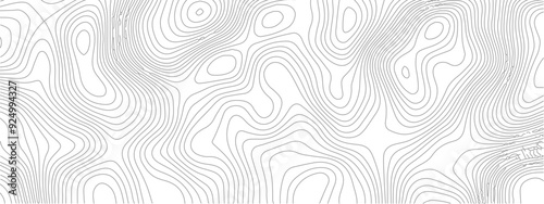 Transparent PNG Topographic line map. Modern design with White background with topographic wavy pattern design.	