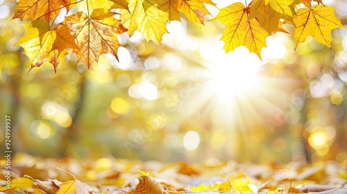 Serene Autumn Scene with Vibrant Leaves