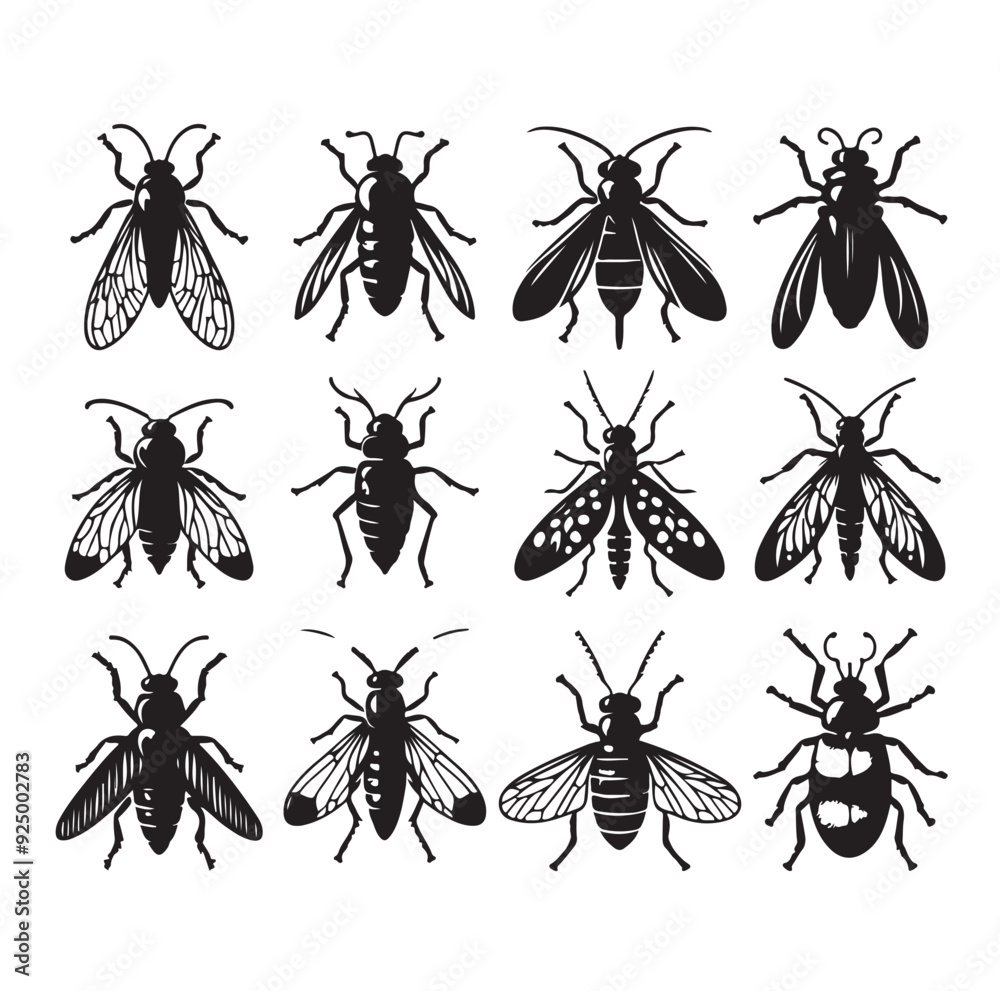 insect Silhouette vector illustration