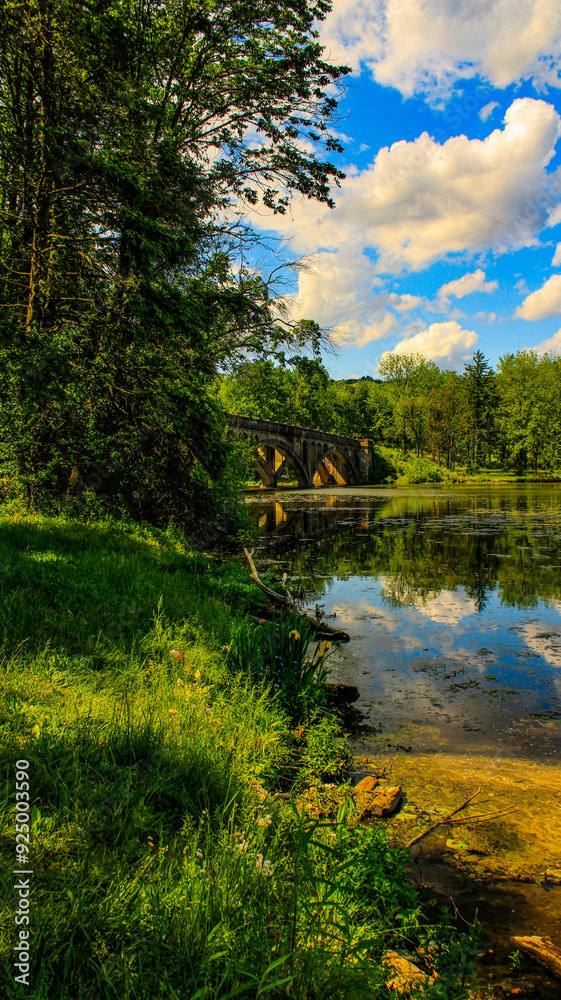 Obraz premium lake in the forest