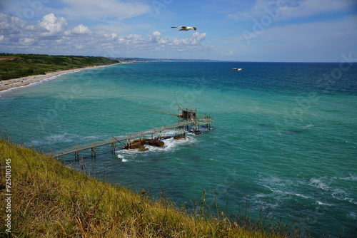 Seagull flights over Punta Aderci overflow, Abruzzo, Italy photo