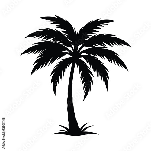 Palm tree silhouette vector illustration with black and white color