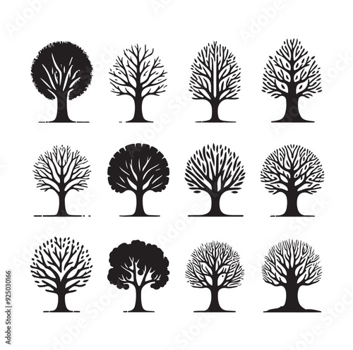 Tree Silhouette vector illustration photo