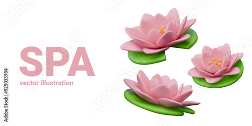Large pink lotus flower in different positions. Blooming water lily