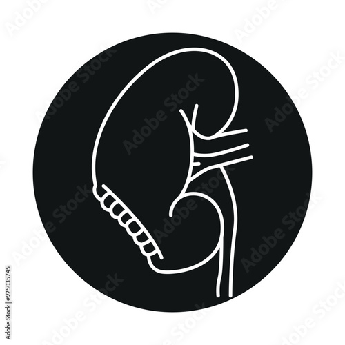 Nephrectomy line black icon.