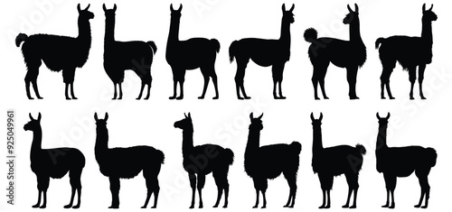 Llama silhouette set vector design big pack of animal illustration and icon