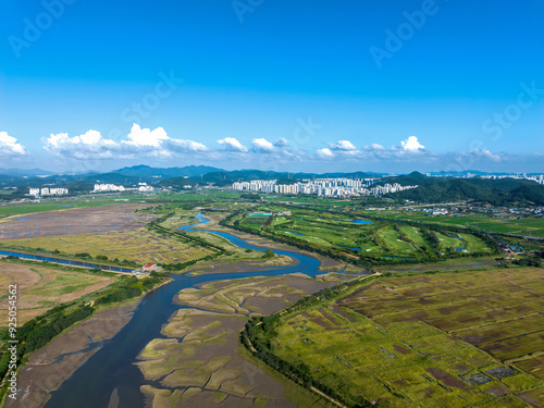 Siheung-si, Gyeonggi-do, South Korea - July A, 2022: Aerial view of tidal channel and mud flat near the sea against golf course and apartments in summer