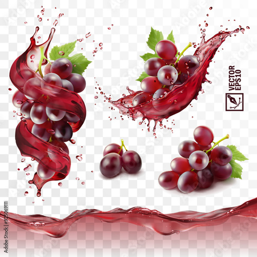 Realistic transparent isolated vector set, splash of wine or grape juice with red grapes branch