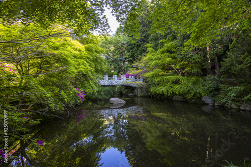 Tongyeong-si, Gyeongsangnam-do, South Korea - May 5, 2022: Spring view of stone bridge on pond with green forest at Yonghwasa Temple of Mireuksan Mountain